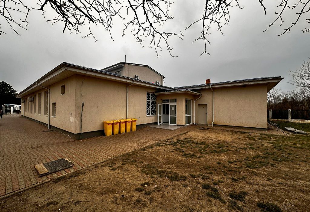 Procter & Gamble și Penny, în colaborare cu organizația World Vision, au renovat spațiul verde al școlii din Ștefăneștii de Jos, Ilfov